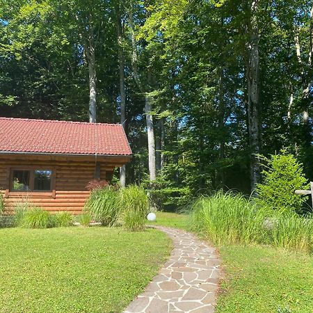 Вилла Huette Am Wald Хоф у Зальцбурга Экстерьер фото