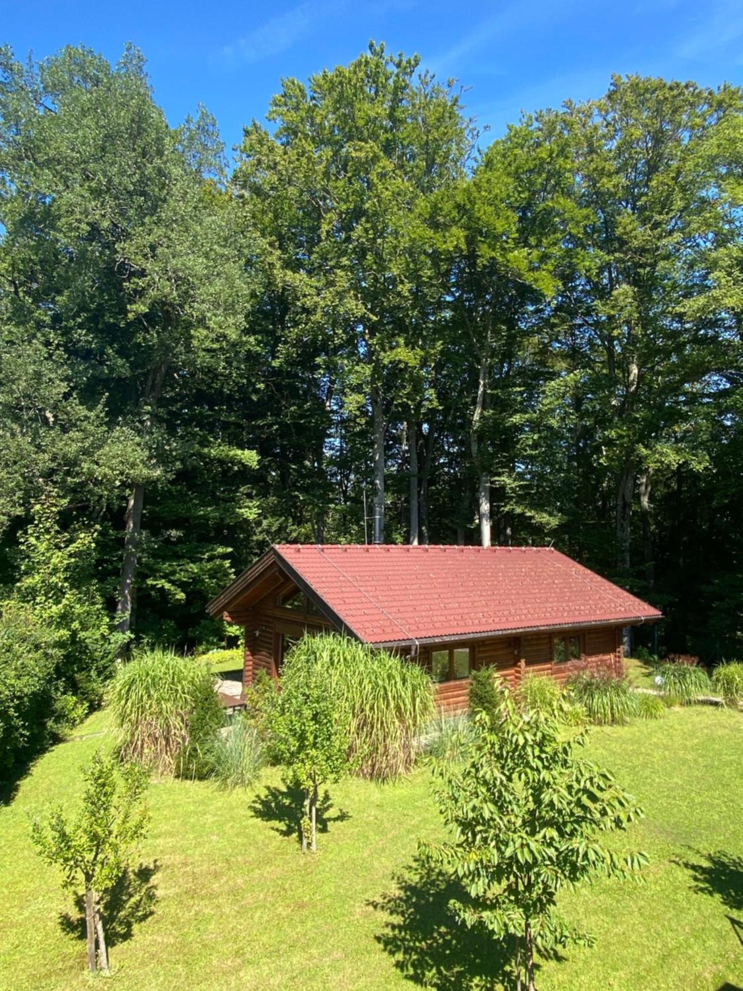Вилла Huette Am Wald Хоф у Зальцбурга Экстерьер фото